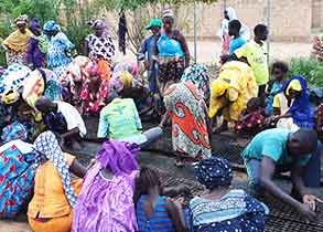 양파 프러그묘 생산 기술을 교육하는 모습