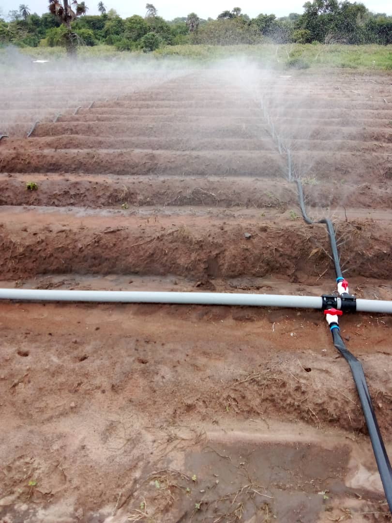 마트 관개시설 사진